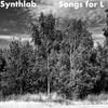 Songs for L