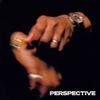 Terrace Martin - PERSPECTIVE