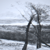 frostRot - Winter