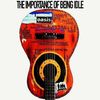 Oasis - The Importance Of Being Idle