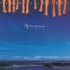 Paul McCartney - Off the Ground