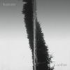 Frustrator - Anther