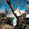 Wildlife