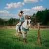 Micah Palace - RODEO
