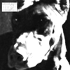 untiljapan - dogfood