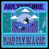 AREYOUSURE - Dead Flowers // Explosive Personality