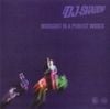 DJ Shadow - Midnight In A Perfect World