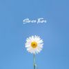 Talha Anjum - Since Tum