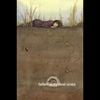 hogeqmain - tribute to fallen aoty real ones