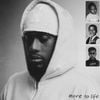 17 - More To Life