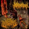 Terminal Respiratory Secretions - Split