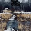 Chemical Dissection - The Ecological Importance of the North Saskatchewan River