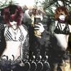 H//rley - swag(misanthopy)
