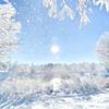 snowski - happy snow day