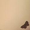 Creativezito - butterfly~tape