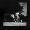 Constantine Markou - BLACK RAIN FALLS