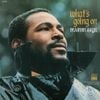 Marvin Gaye - What's Going On (Super Deluxe Edition)