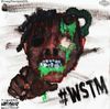 9geek - #WSTM