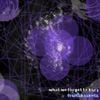 fruitsbaskets - What We Forgot To Bury