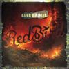 Luke Grimes - Red Bird