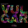 G Fam Black - Vulgar