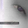 Audrey Lyrics - Free