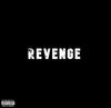 S.H.D - REVENGE