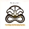Kalai - Six Strings and The Rainy Day Man