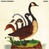 Ganso - Costela Ofendida