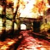Amar333 - leaves