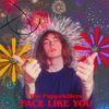 The Puppykillers - FACE LIKE YOU