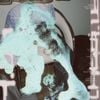 Schwefelgelb - Hologramm