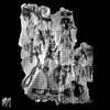 Reject My Life - Frivolous and Perfidious