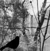 VINDI MU$iC - THE POWER OF DARKNESS WHICH SO GRACEFULLY GUIDES YOU