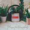 Cinnabar - Music for Houseplants