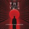 The Paradox Twin - A Romance of Many Dimensions