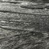 restless pines - *********** ******* ******