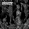 Pissrot - Absolute Form