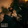 Dudu - O Cara Errado