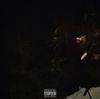 XIXVII - Dog 2