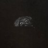 Constantine Markou - New Dawn Breaks