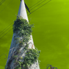 Vepity - Stand and Grow