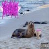 bleood - i <3 seals