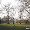 peacock - rest in peacock