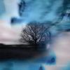 The Sound of Modesty - A Thousand Dreams