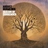 August Burns Red - Sonic Salvation