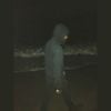 Death Grips - Birds