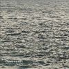 Steve Kilbey - Whispers In The Static (2024 Reissue)