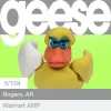Geese - Walmart AMP | Rogers, AR | 5/1/2024