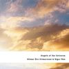 Hilmar &Ouml;rn Hilmarsson & Sigur R&oacute;s - Angels of the Universe